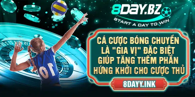 Cá cược bóng chuyền là "gia vị" đặc biệt giúp tăng thêm phần hứng khởi cho cược thủ