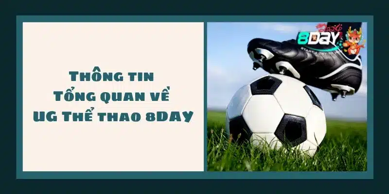 Thông tin Tổng quan về UG Thể thao 8DAY