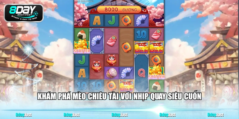 Khám phá mèo chiêu tài với nhịp quay siêu cuốn
