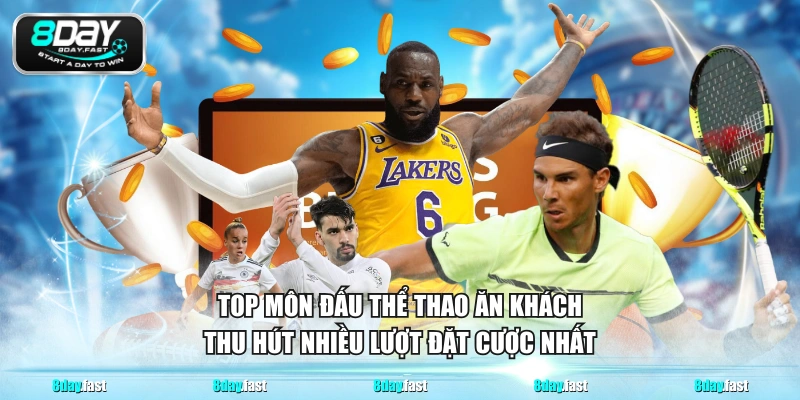 Top môn đấu thể thao ăn khách thu hút nhiều lượt đặt cược nhất